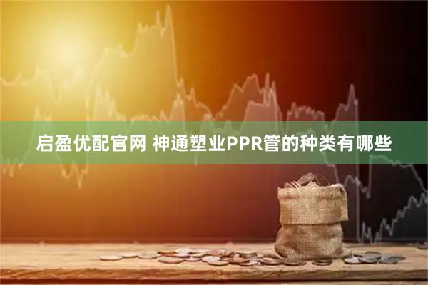 启盈优配官网 神通塑业PPR管的种类有哪些