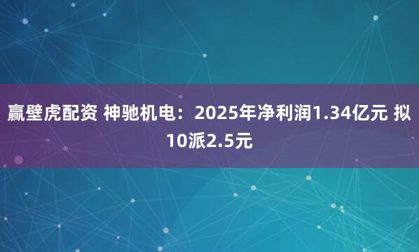 赢壁虎配资 神驰机电：2025年净利润1.34亿元 拟10派2.5元