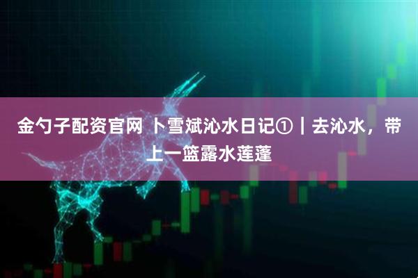 金勺子配资官网 卜雪斌沁水日记①｜去沁水，带上一篮露水莲蓬